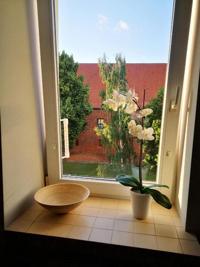 Legata Apartment โอสโตรดา ภายนอก รูปภาพ
